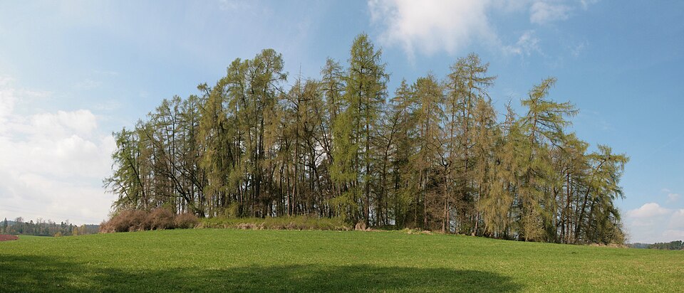 Tvrz Kašovice
